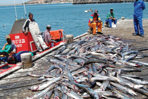 small scale fishers